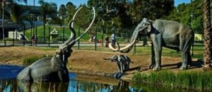 La brea tar pits